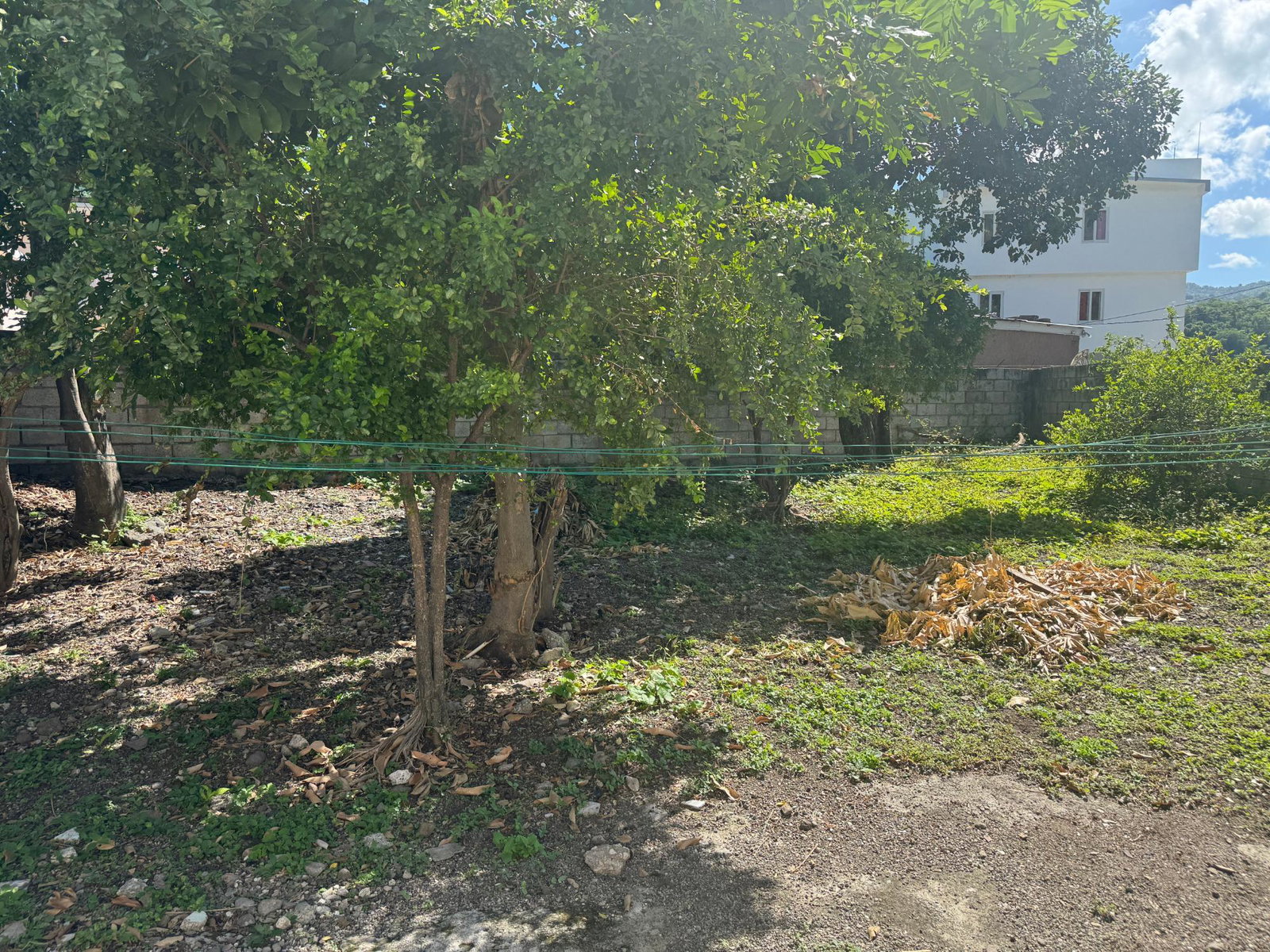 Twenty-Fourth image of 1 Tavern Crescent, Kingston in Kingston 6, St. Andrew, Jamaica - property is For Sale