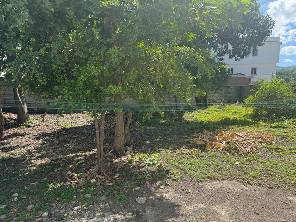 Twenty-Fourth image of 1 Tavern Crescent, Kingston in Kingston 6, St. Andrew, Jamaica - property is For Sale