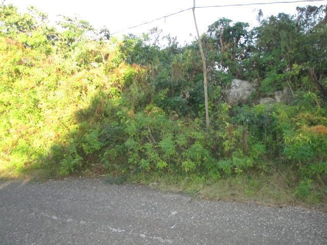 Third image of Lot 794-white Hall Negril in Whitehall, Westmoreland, Jamaica - property is For Sale