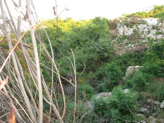 Fourth image of Lot 794-white Hall Negril in Whitehall, Westmoreland, Jamaica - property is For Sale