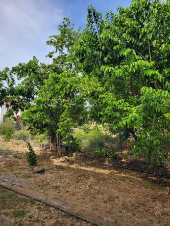 Twentieth image of Caribbean Park in Tower Isle, St. Mary, Jamaica - property is For Rent