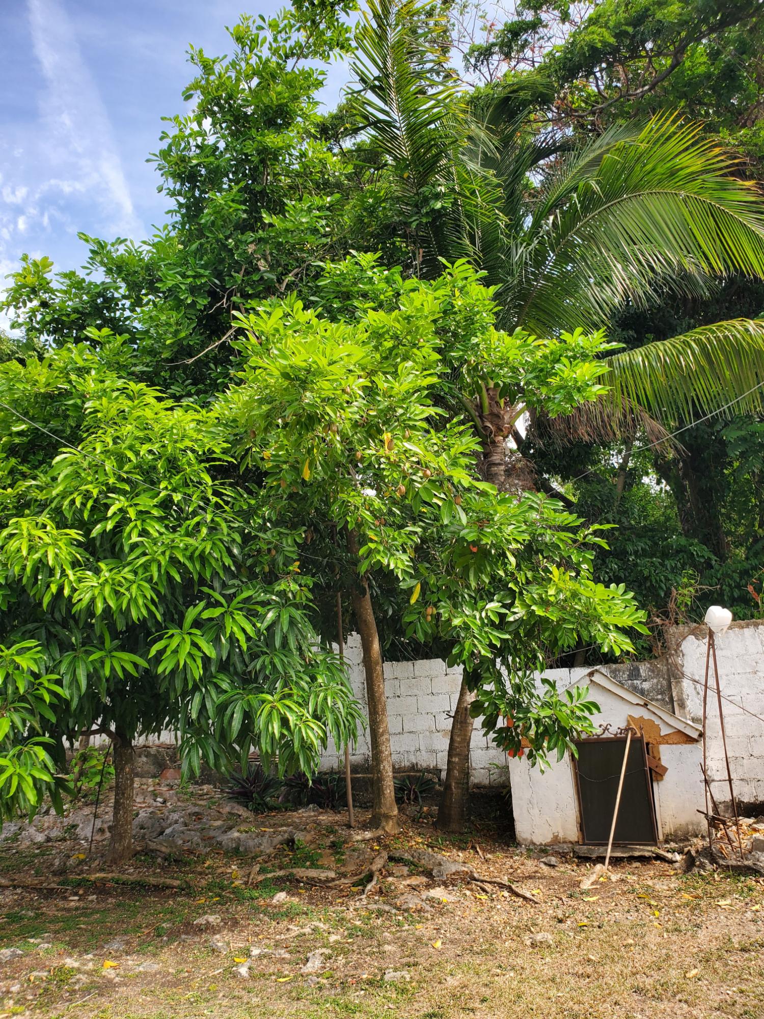 Twenty-First image of Caribbean Park in Tower Isle, St. Mary, Jamaica - property is For Rent