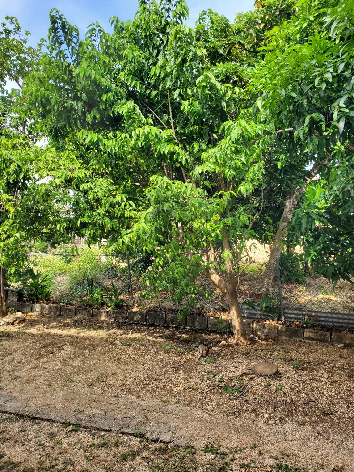 Twenty-Seventh image of Caribbean Park in Tower Isle, St. Mary, Jamaica - property is For Rent