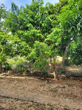 Twenty-Seventh image of Caribbean Park in Tower Isle, St. Mary, Jamaica - property is For Rent