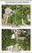 First image of Lot 16 Mayfair Avenue in Kingston 19, St. Andrew, Jamaica - property is For Sale