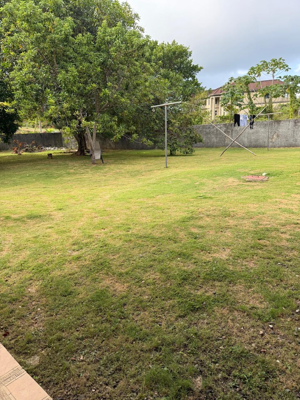 Eleventh image of Lot 15- Friendship, Boston in Boston, Portland, Jamaica - property is For Sale
