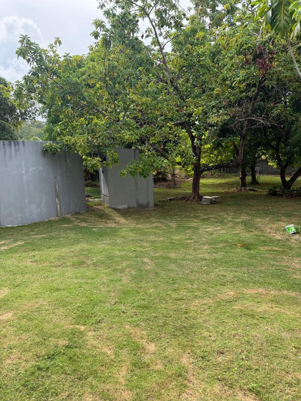Ninth image of Lot 15- Friendship, Boston in Boston, Portland, Jamaica - property is For Sale