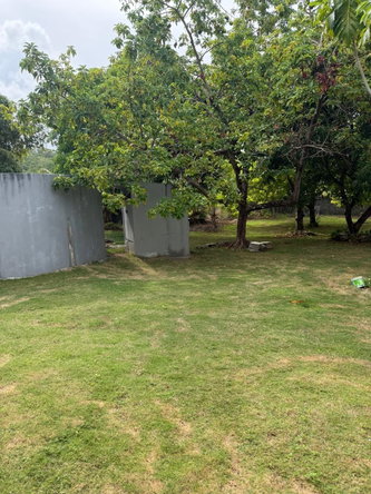 Ninth image of Lot 15- Friendship, Boston in Boston, Portland, Jamaica - property is For Sale