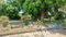 First image of 37-border Ave Havendale, Kingston 19.st in Kingston 19, St. Andrew, Jamaica - property is For Sale