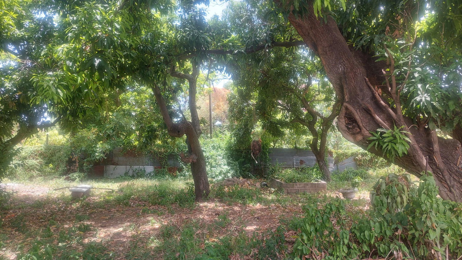 Eighteenth image of 37-border Ave Havendale, Kingston 19.st in Kingston 19, St. Andrew, Jamaica - property is For Sale