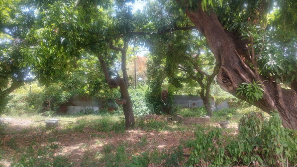 Eighteenth image of 37-border Ave Havendale, Kingston 19.st in Kingston 19, St. Andrew, Jamaica - property is For Sale