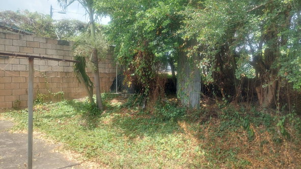Nineteenth image of 37-border Ave Havendale, Kingston 19.st in Kingston 19, St. Andrew, Jamaica - property is For Sale