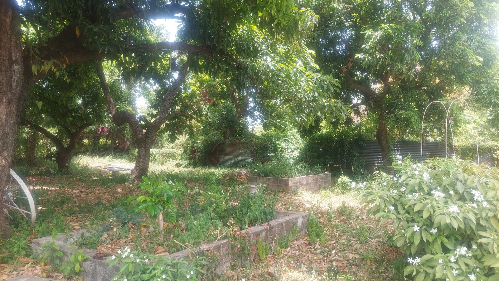 Third image of 37-border Ave Havendale, Kingston 19.st in Kingston 19, St. Andrew, Jamaica - property is For Sale