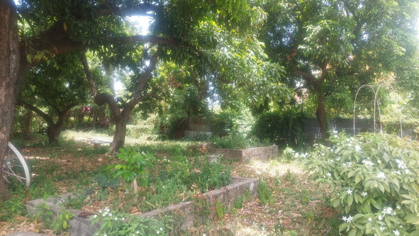 Third image of 37-border Ave Havendale, Kingston 19.st in Kingston 19, St. Andrew, Jamaica - property is For Sale