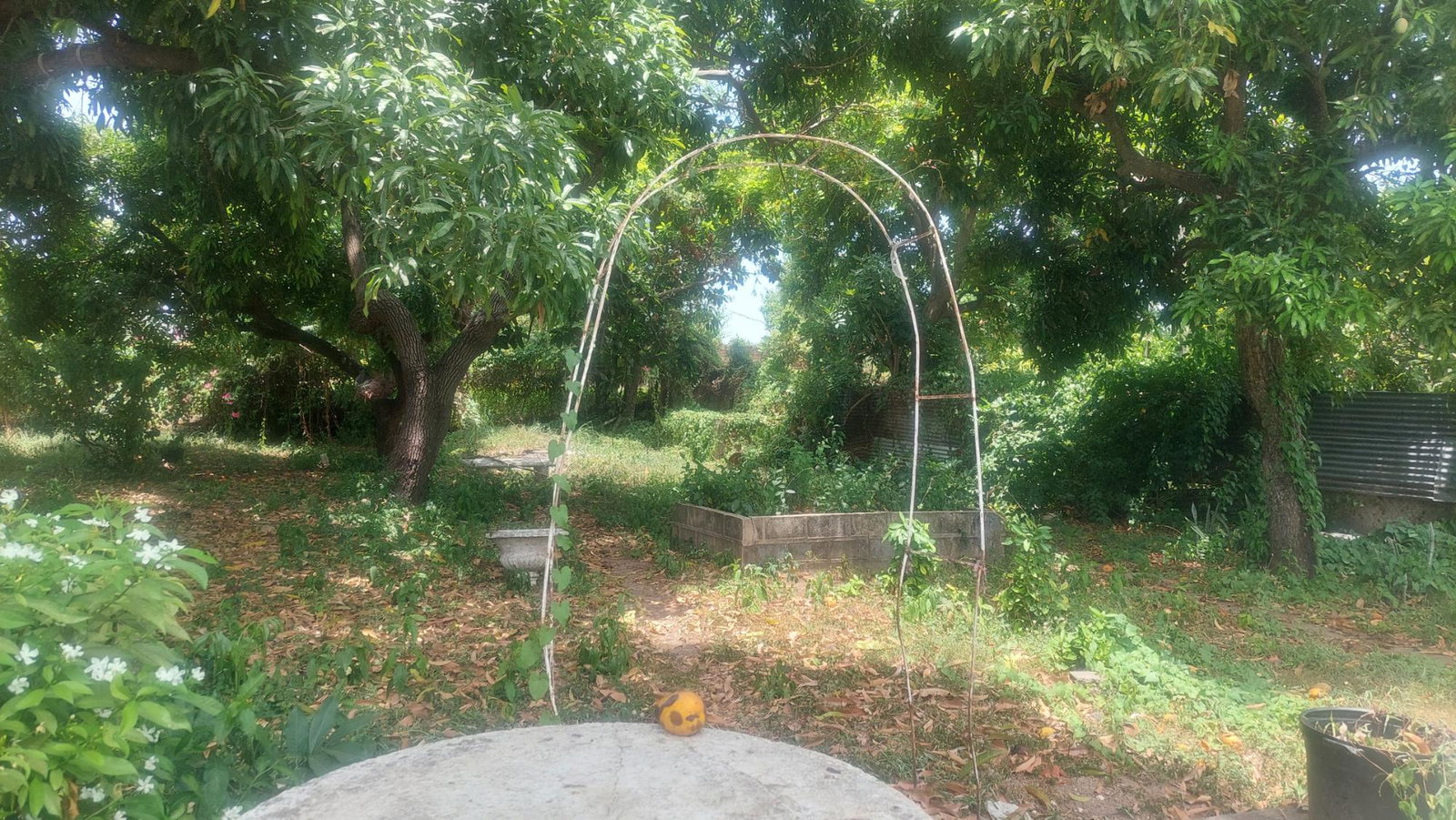 Fourth image of 37-border Ave Havendale, Kingston 19.st in Kingston 19, St. Andrew, Jamaica - property is For Sale
