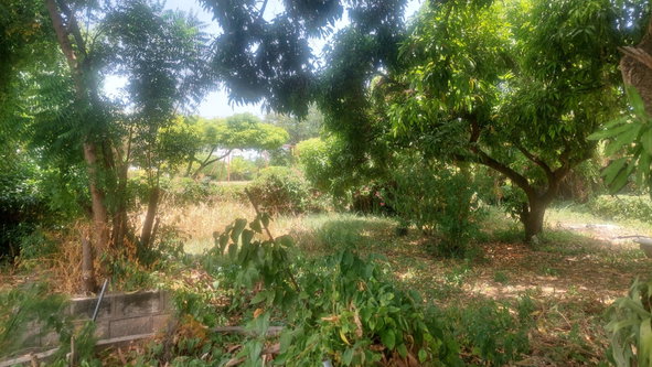 Fifth image of 37-border Ave Havendale, Kingston 19.st in Kingston 19, St. Andrew, Jamaica - property is For Sale