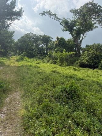 Third image of Amity, Westmoreland in Amity, Westmoreland, Jamaica - property is For Sale