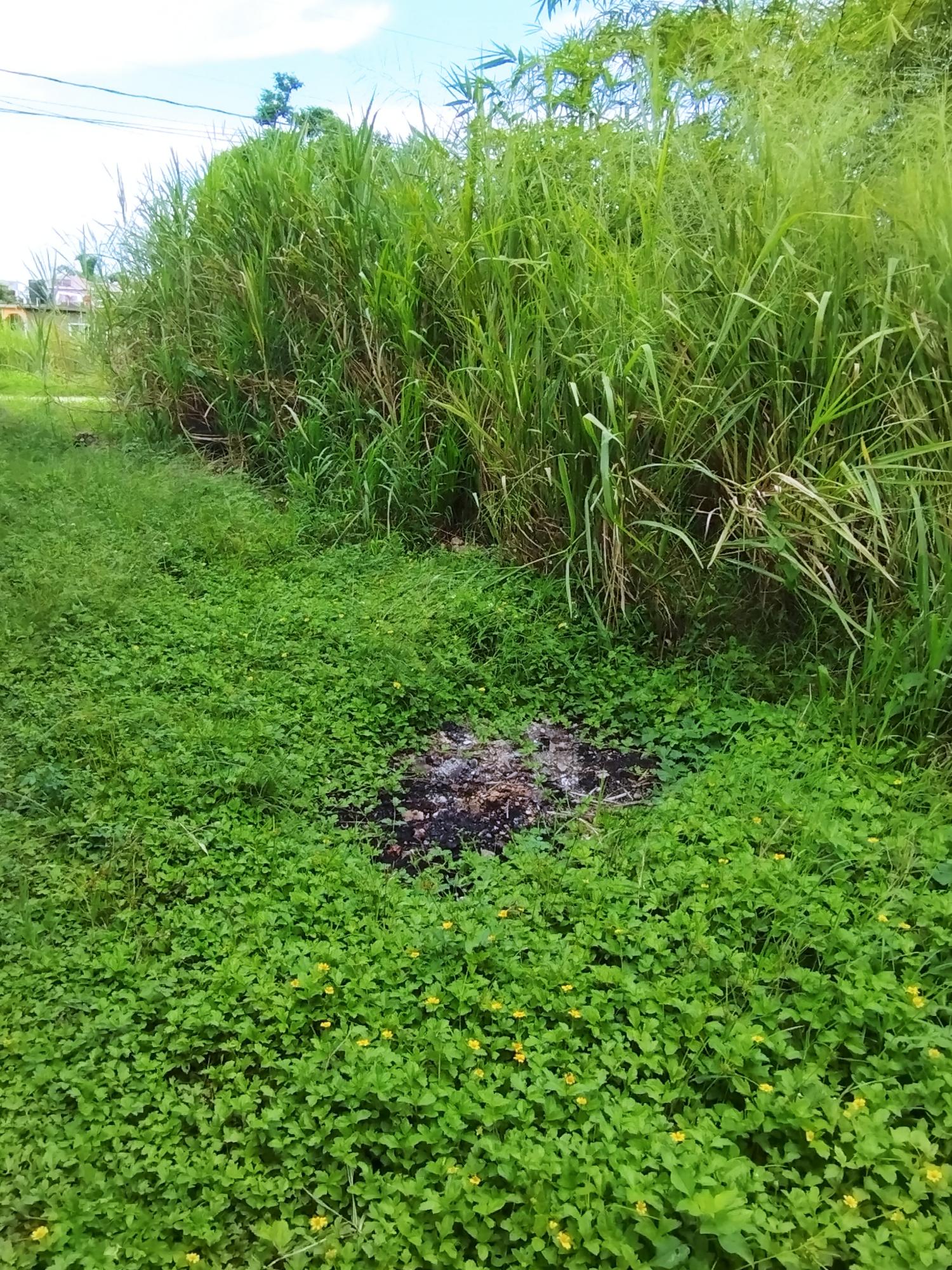 Fourth image of 357- Three Hills , Retreat in Retreat, St. Mary, Jamaica - property is For Sale