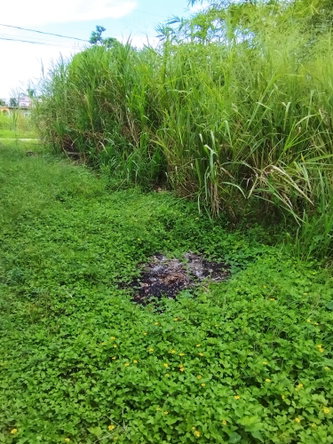Fourth image of 357- Three Hills , Retreat in Retreat, St. Mary, Jamaica - property is For Sale