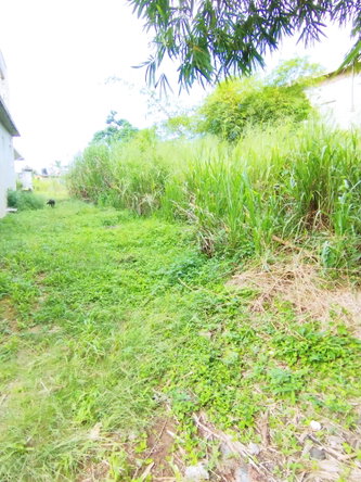 Fifth image of 357- Three Hills , Retreat in Retreat, St. Mary, Jamaica - property is For Sale