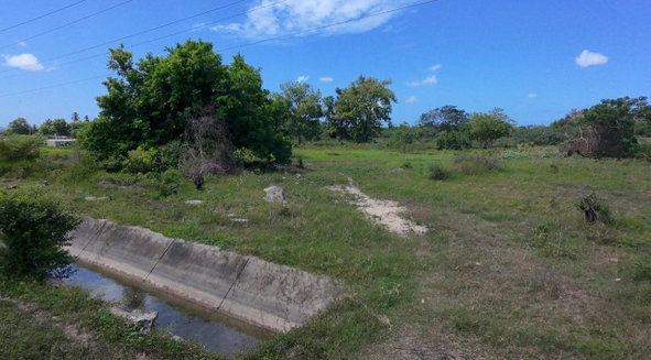 Third image of 40 Rhymesbury in Rhymesbury, Clarendon, Jamaica - property is For Sale