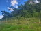 First image of 234- Newark Grove in Spur Tree, Manchester, Jamaica - property is For Sale