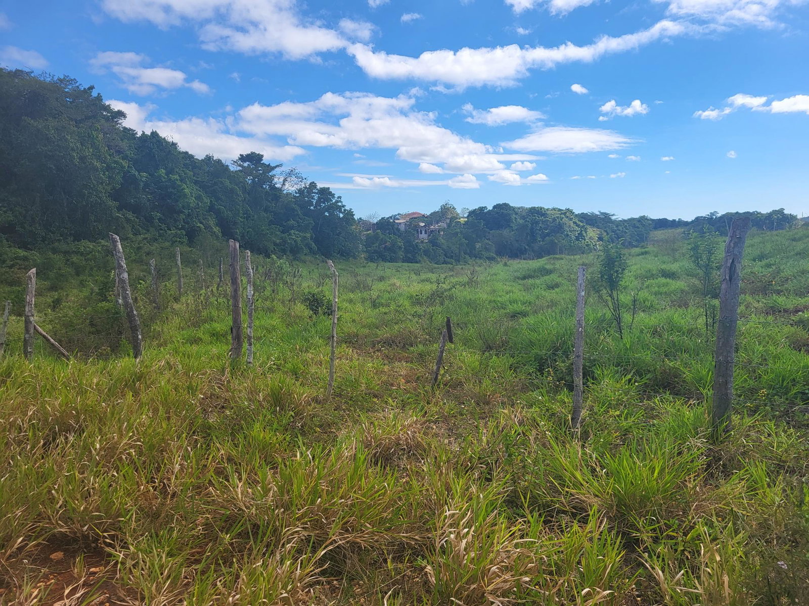 Second image of 234- Newark Grove in Spur Tree, Manchester, Jamaica - property is For Sale
