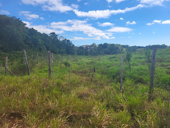 Second image of 234- Newark Grove in Spur Tree, Manchester, Jamaica - property is For Sale
