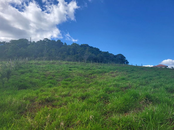 Third image of 234- Newark Grove in Spur Tree, Manchester, Jamaica - property is For Sale