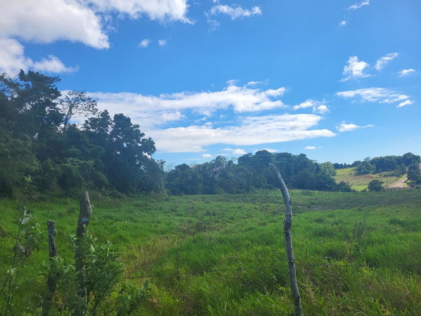 Fourth image of 234- Newark Grove in Spur Tree, Manchester, Jamaica - property is For Sale