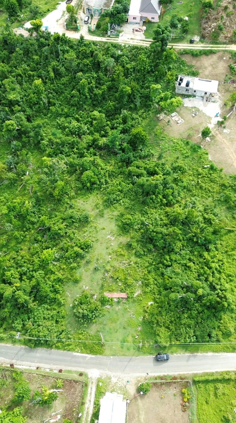 Second image of Fyffes Pen in Fyffes Pen, St. Elizabeth, Jamaica - property is For Sale
