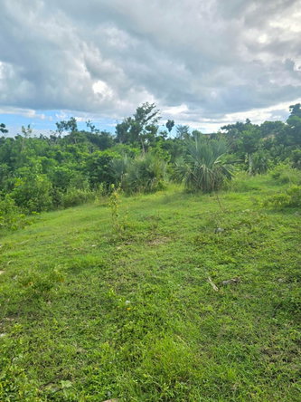 Fourth image of Fyffes Pen in Fyffes Pen, St. Elizabeth, Jamaica - property is For Sale