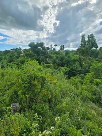 Fifth image of Fyffes Pen in Fyffes Pen, St. Elizabeth, Jamaica - property is For Sale