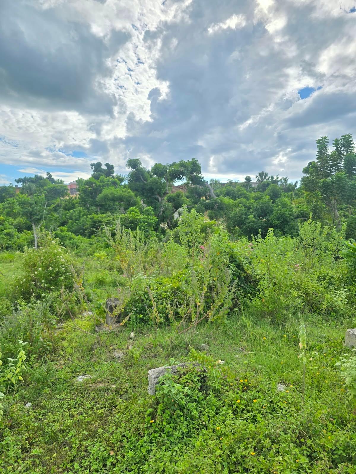 Sixth image of Fyffes Pen in Fyffes Pen, St. Elizabeth, Jamaica - property is For Sale