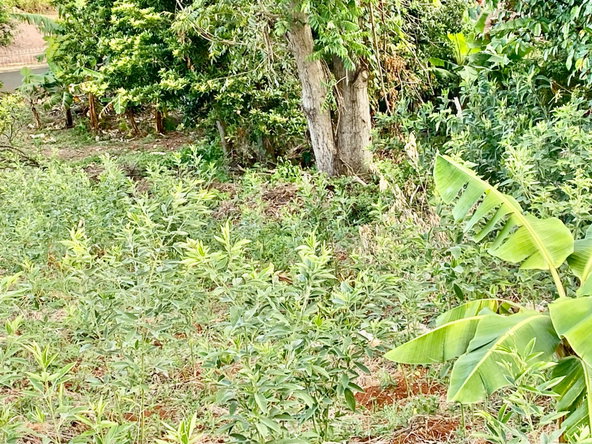Tenth image of Lot 108 Amethyst Drive in Kingston 19, St. Andrew, Jamaica - property is For Sale
