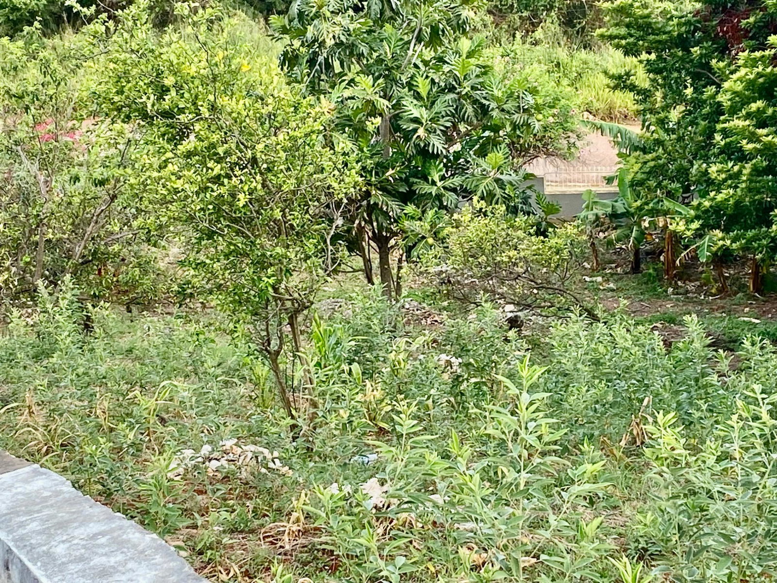Eleventh image of Lot 108 Amethyst Drive in Kingston 19, St. Andrew, Jamaica - property is For Sale