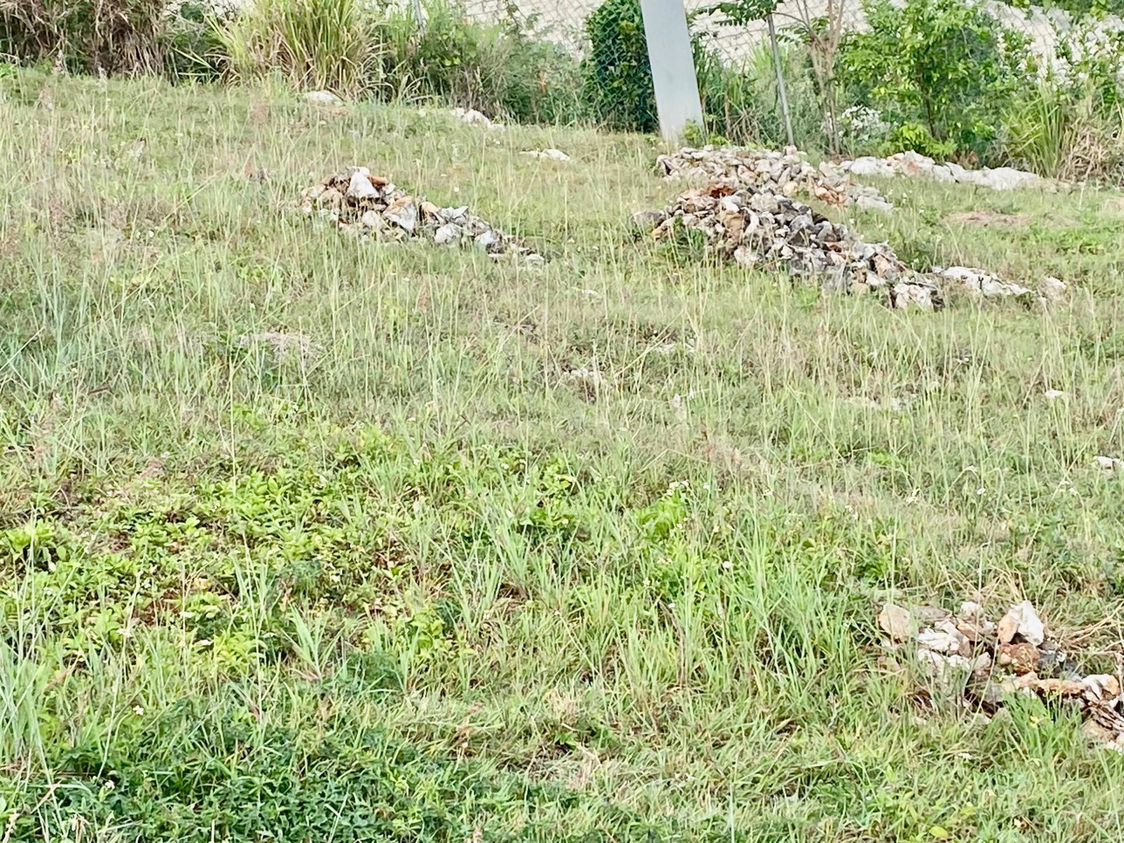 Fourteenth image of Lot 108 Amethyst Drive in Kingston 19, St. Andrew, Jamaica - property is For Sale