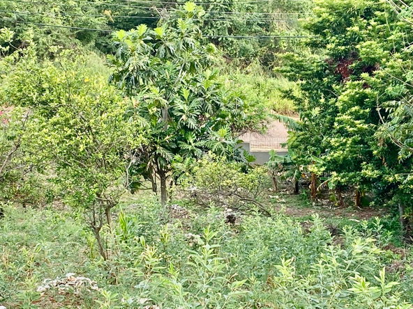 Sixteenth image of Lot 108 Amethyst Drive in Kingston 19, St. Andrew, Jamaica - property is For Sale
