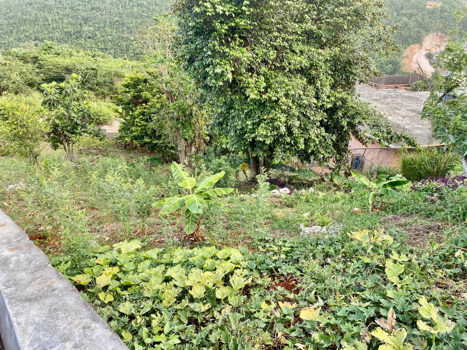 Eighth image of Lot 108 Amethyst Drive in Kingston 19, St. Andrew, Jamaica - property is For Sale
