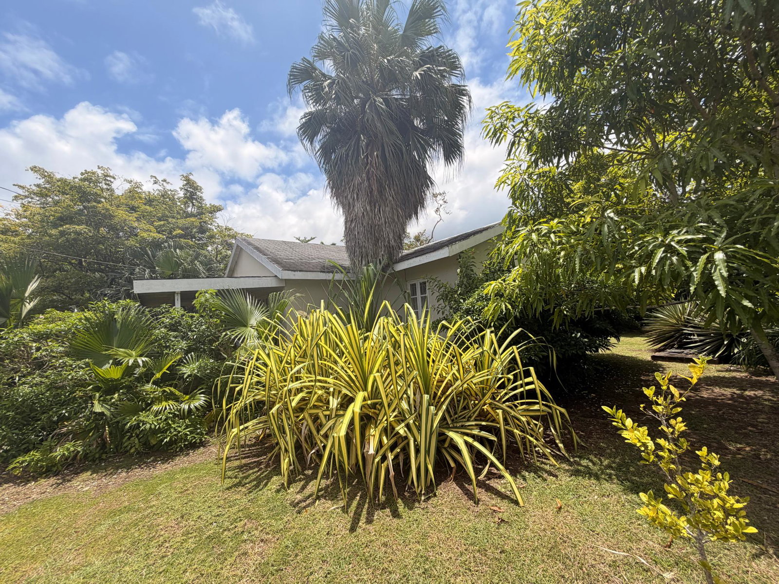 Ninth image of Village Green Drax Hall in Drax Hall Estate, St. Ann, Jamaica - property is For Sale
