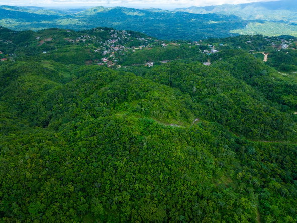 Seventh image of Rock Hall in WATERHOUSE MOUNTIAN, St. Catherine, Jamaica - property is For Sale