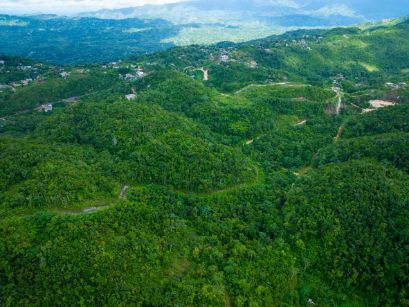 Eighth image of Rock Hall in WATERHOUSE MOUNTIAN, St. Catherine, Jamaica - property is For Sale