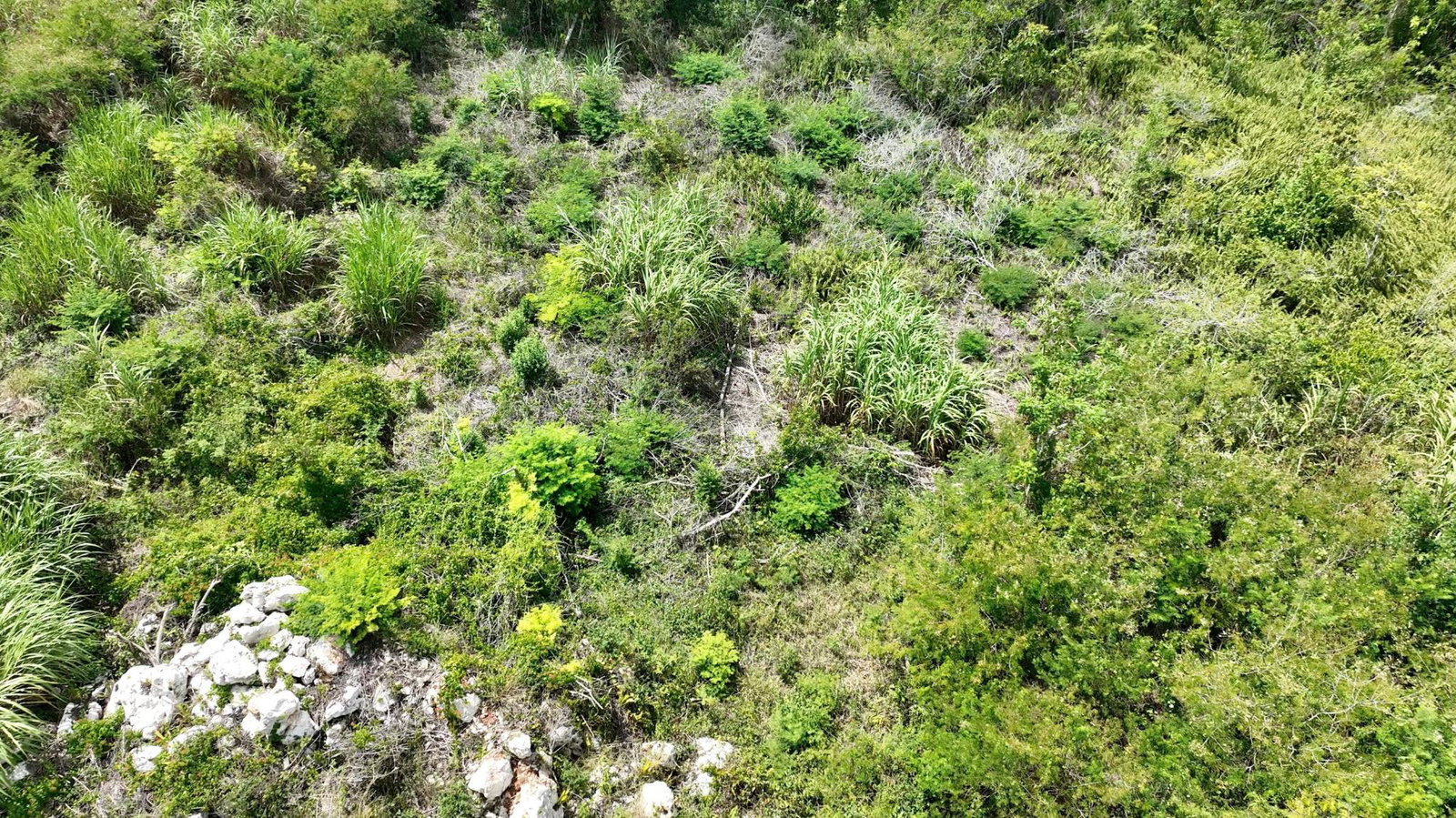 Third image of Lot 580- The Glades, Moorlands es in Mooreland, Manchester, Jamaica - property is For Sale