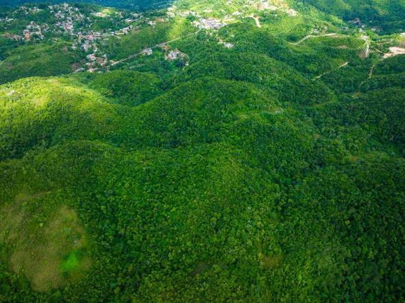 Fifth image of Rock Hall in WATERHOUSE MOUNTIAN, St. Catherine, Jamaica - property is For Sale