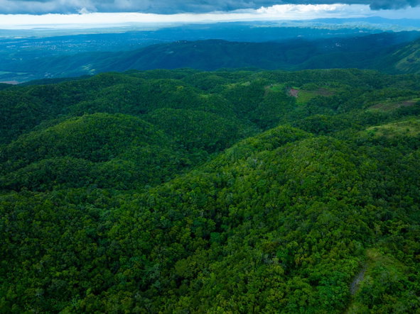 Seventh image of Rock Hall in WATERHOUSE MOUNTIAN, St. Catherine, Jamaica - property is For Sale