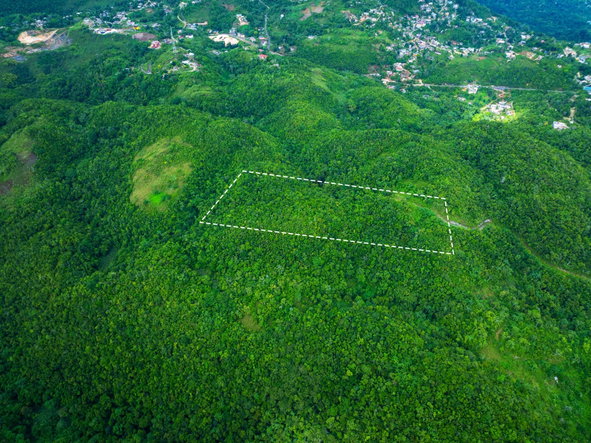 Eighth image of Rock Hall in WATERHOUSE MOUNTIAN, St. Catherine, Jamaica - property is For Sale