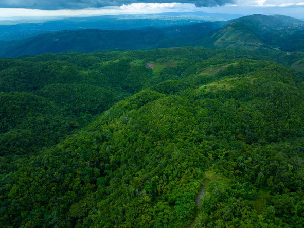 Sixth image of Rock Hall in WATERHOUSE MOUNTIAN, St. Catherine, Jamaica - property is For Sale