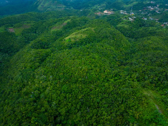 Seventh image of Rock Hall in WATERHOUSE MOUNTIAN, St. Catherine, Jamaica - property is For Sale