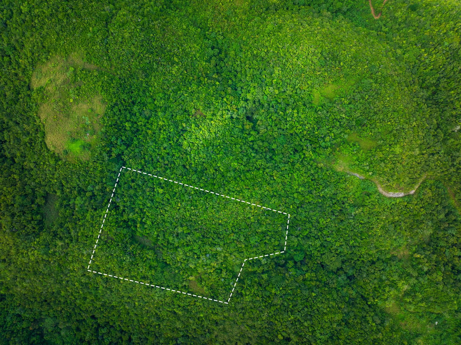 Eighth image of Rock Hall in WATERHOUSE MOUNTIAN, St. Catherine, Jamaica - property is For Sale