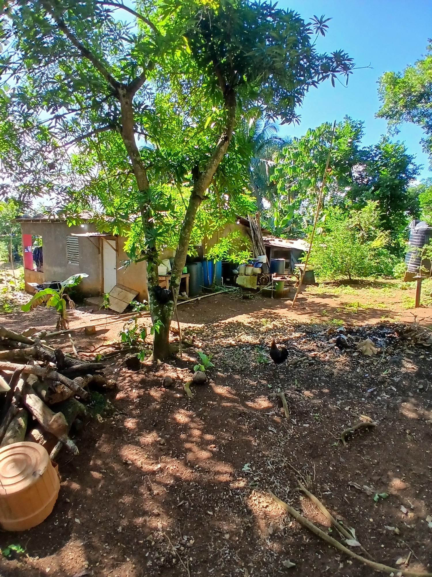 Seventh image of Princessfield District in Linstead, St. Catherine, Jamaica - property is For Sale